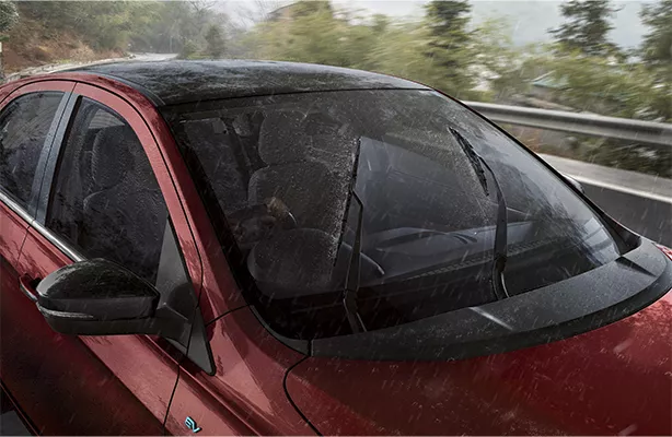 rain-wiper