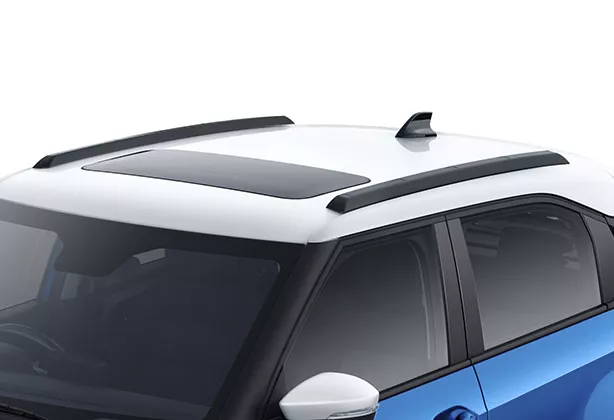 stylish-roofrails-new